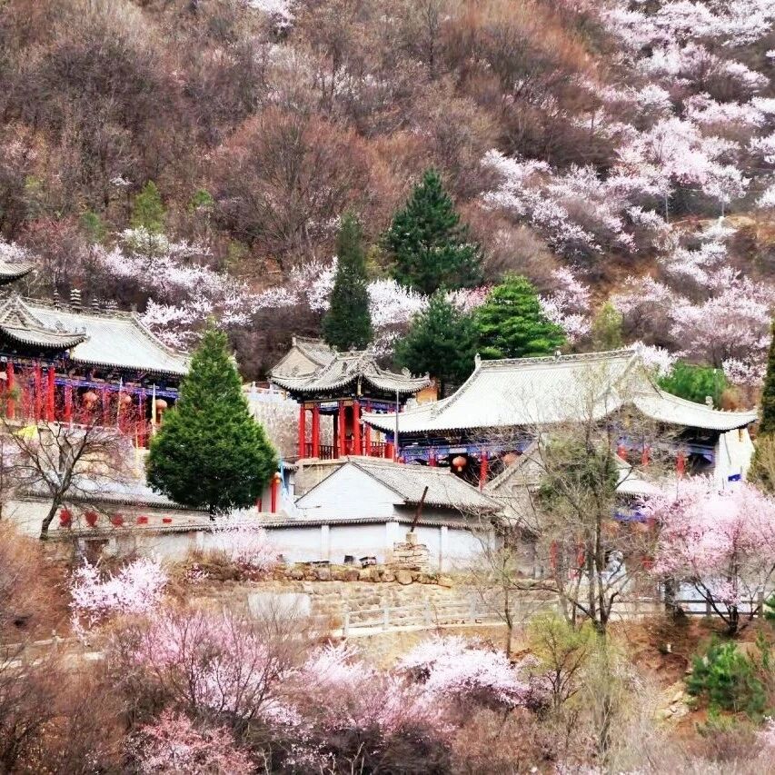 崆峒山景区畅游年票升级活动,享全年无限次入园!