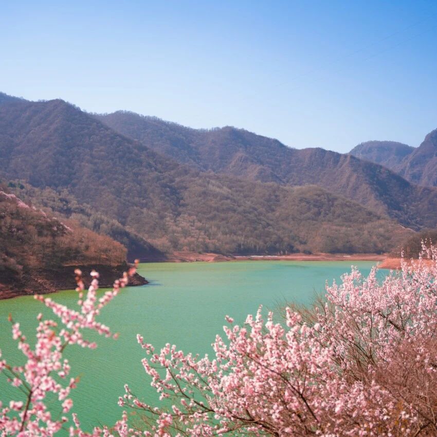 崆峒山景区桃花节期间延长售票时间的公告