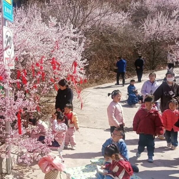 崆峒山桃花刷屏预警!漫山花海+仙侠市集,周末直接冲