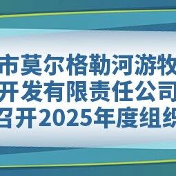 呼伦贝尔市莫尔格勒河游牧文化旅游开发有限责任公司党支部召开2025年度组织生活会