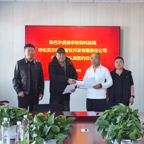 陈巴尔虎旗20万只可追溯羔羊实现“订单化”预售,“一羊一码”筑牢牧民增收“保障线