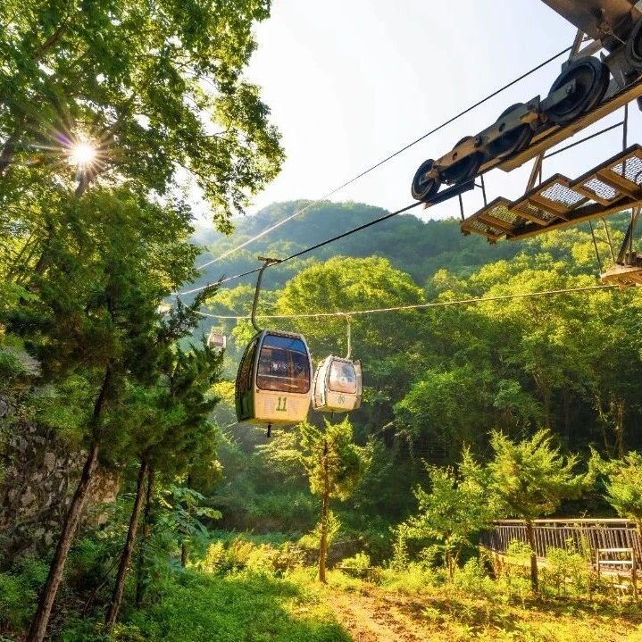 老界岭索道检修停运公告