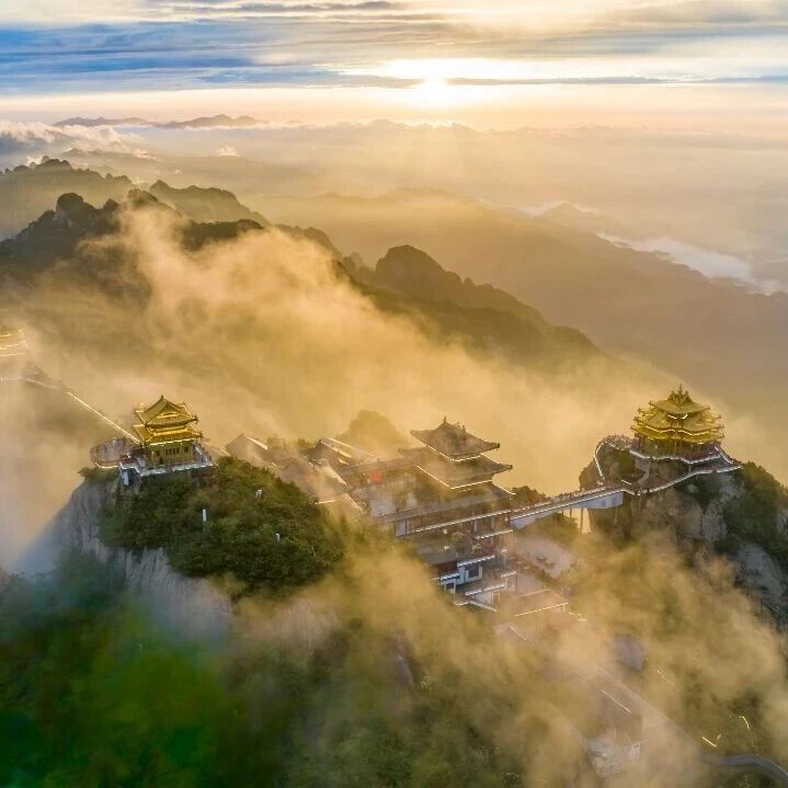 洛阳牡丹盛放,老君山春景正浓,赴一场仙花同赏的春日之约!