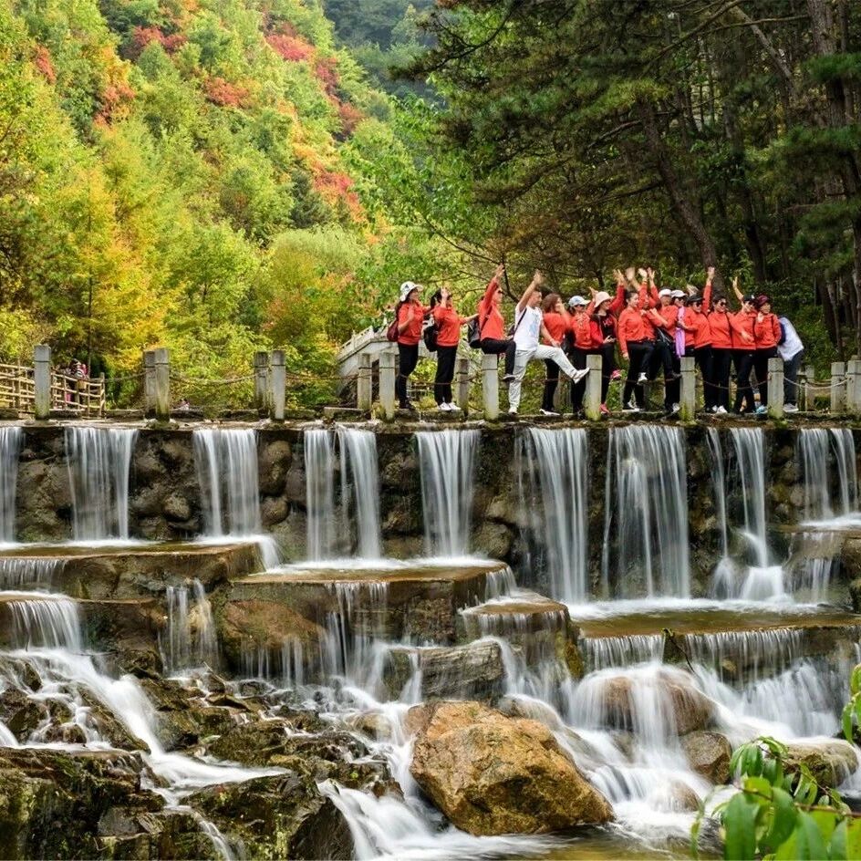 牡丹花开四月天丨老君山省心省力全攻略,带爸妈轻松赴仙山