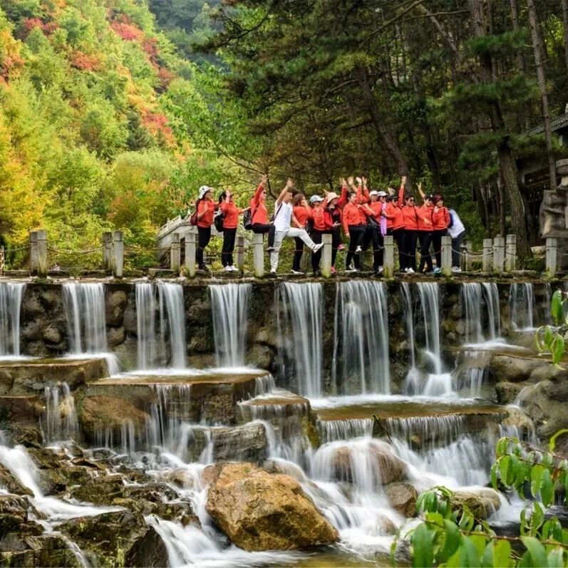 牡丹花开四月天丨老君山省心省力全攻略,带爸妈轻松赴仙山