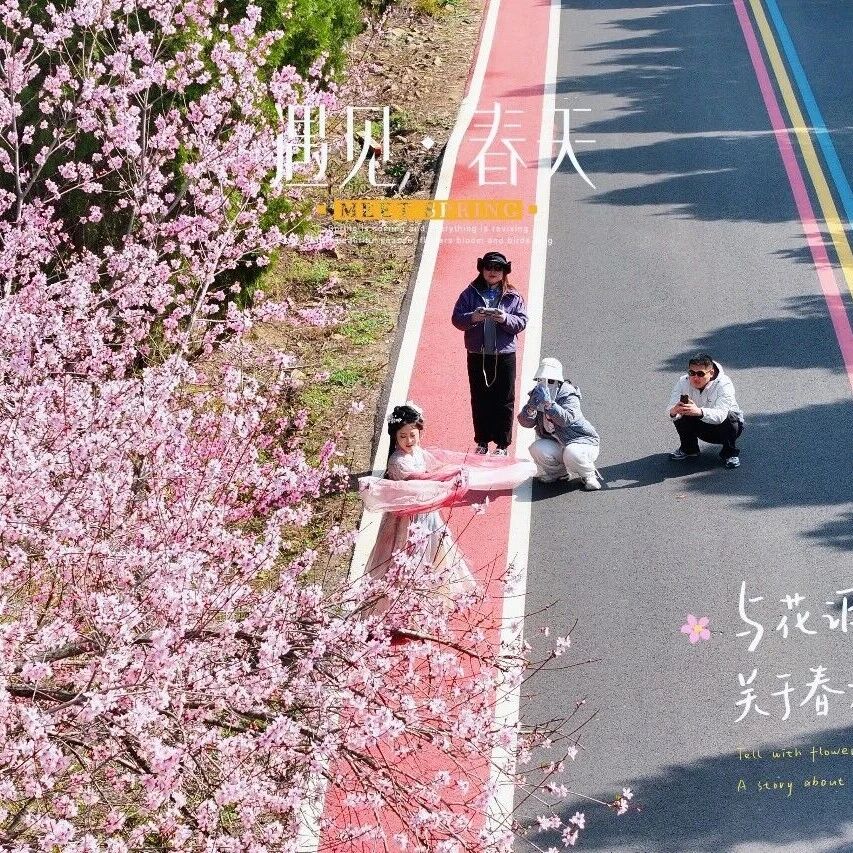 周末去哪玩?神农山的桃花已盛开,快来拍照!