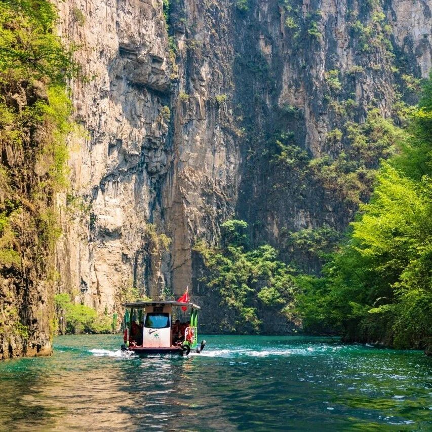 万水千山,我自行去。