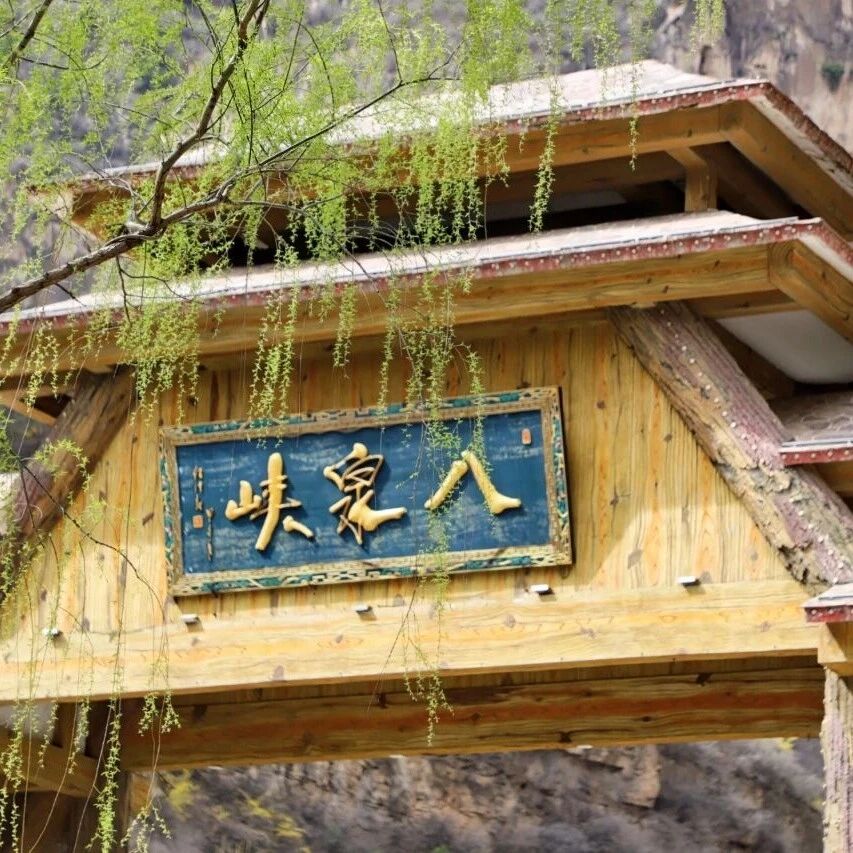 八泉峡“绿了”!