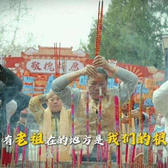 以槐为信 山东小伙携族人来大槐树 赴一场跨时空的家族之约