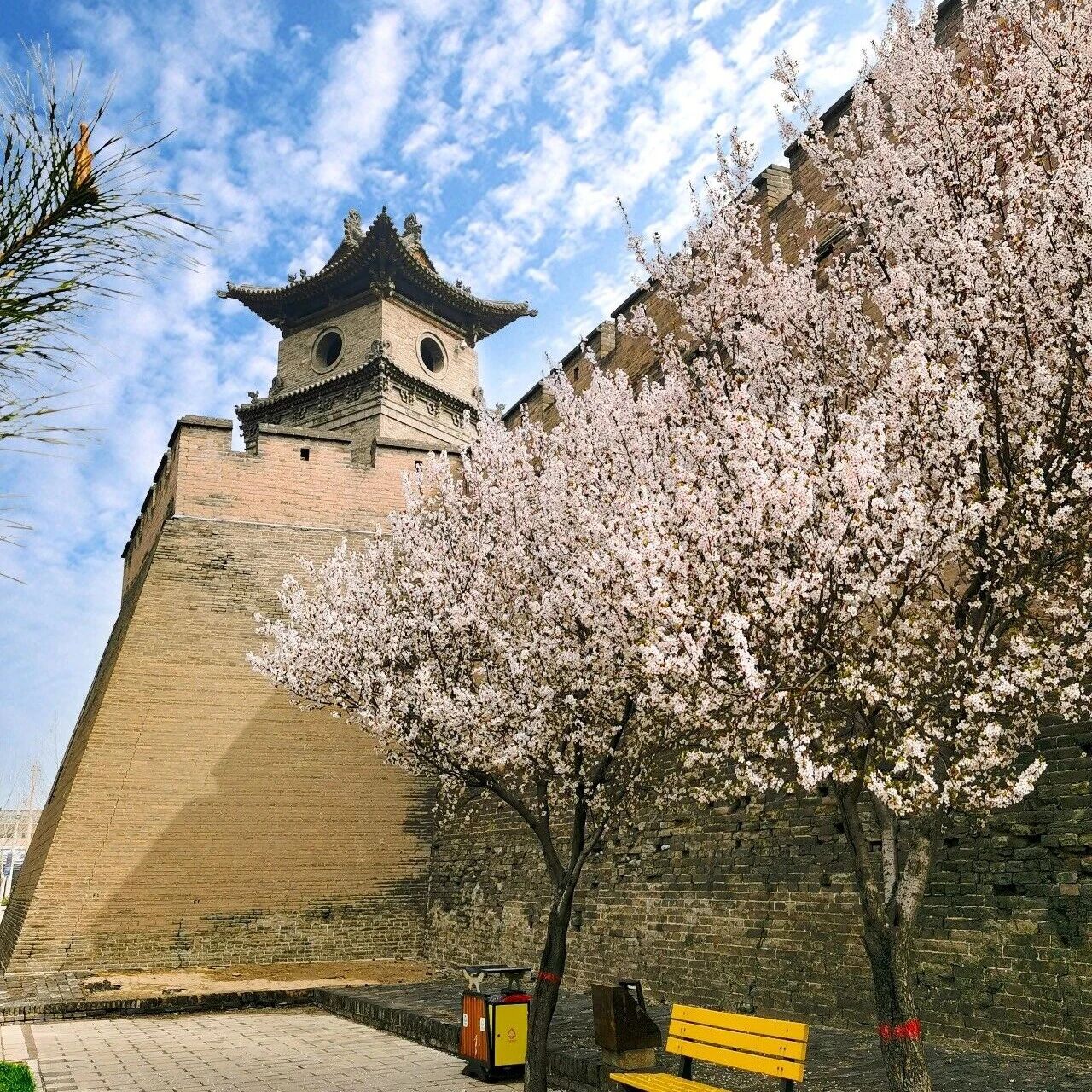 平遥春叙 | 且赴古城,与春闲坐