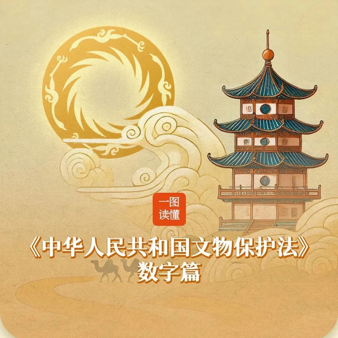 一图读懂《中华人民共和国文物保护法》数字篇