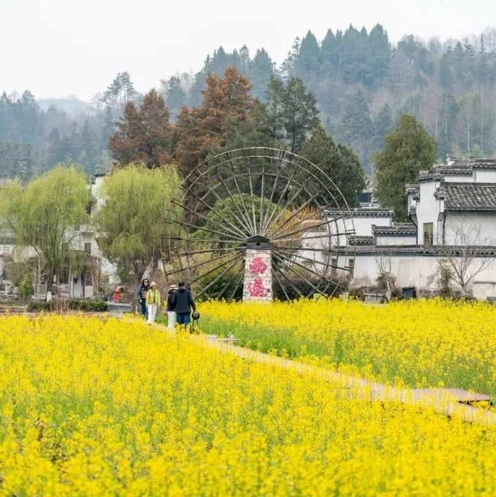 春假出游黟县,三天二晚/四天三晚路线推荐