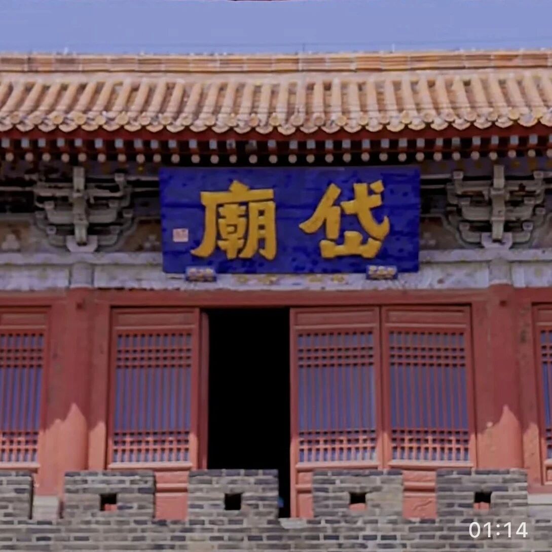 岱庙已经春色满园,各色春花相继开放!