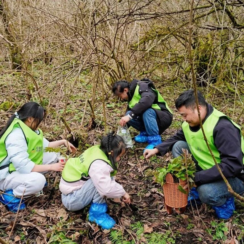 春假徒步掀热潮 西岭雪山开启自然寻野新体验