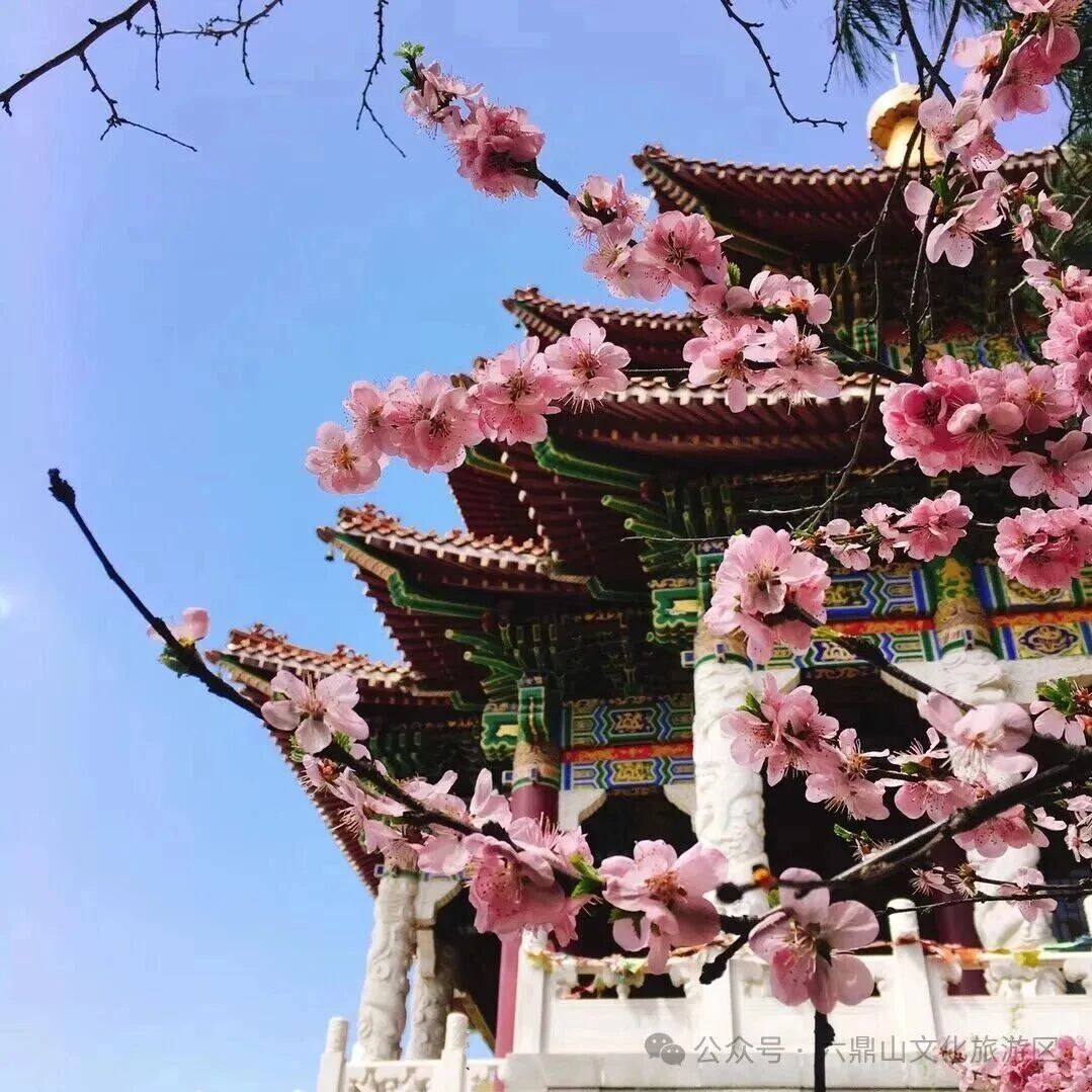 【景区资讯】六鼎山文化旅游区2026年4月惠民便民政策来了 邀您共赴春日之约