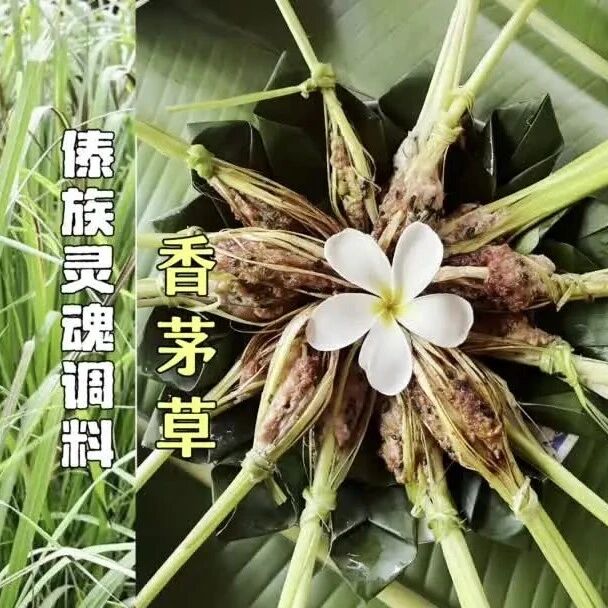 香茅草:烤鱼的灵魂香料|傣族植物故事88