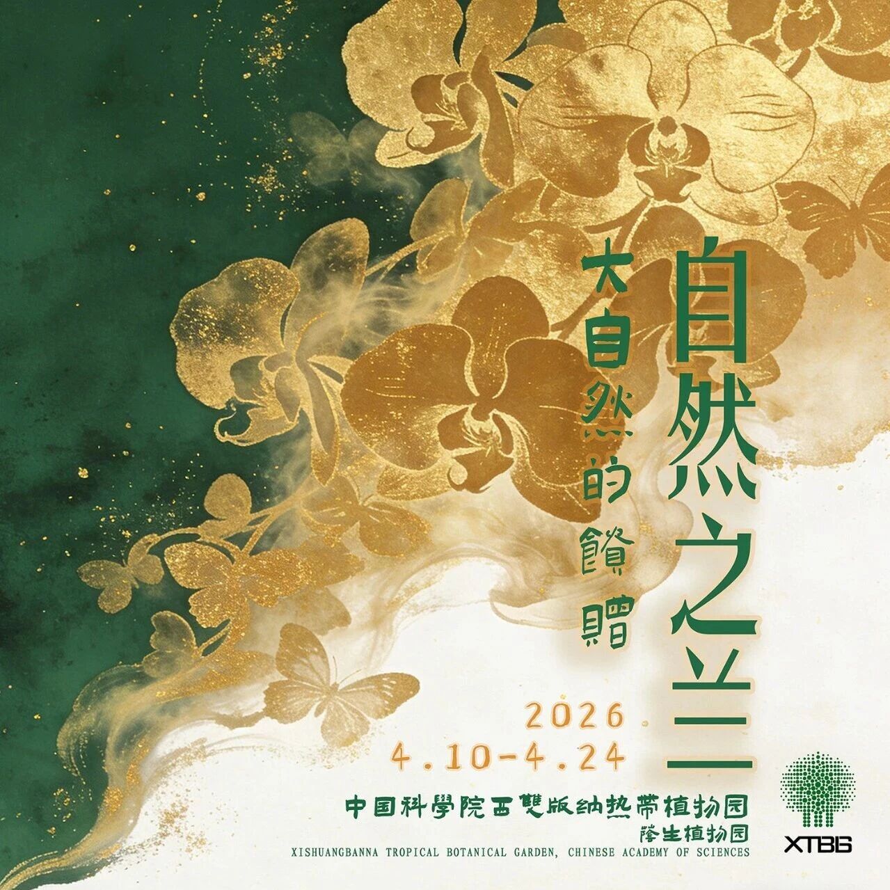 花展预告 | 版纳植物园第13届兰花展即将启幕
