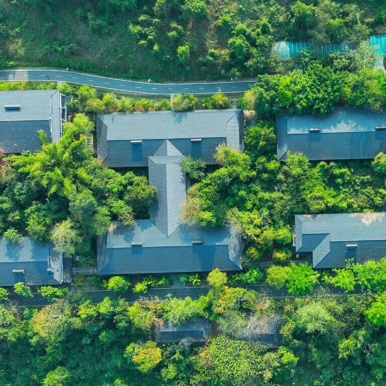 招聘 | 中国科学院西双版纳热带植物园诚聘基建管理人员