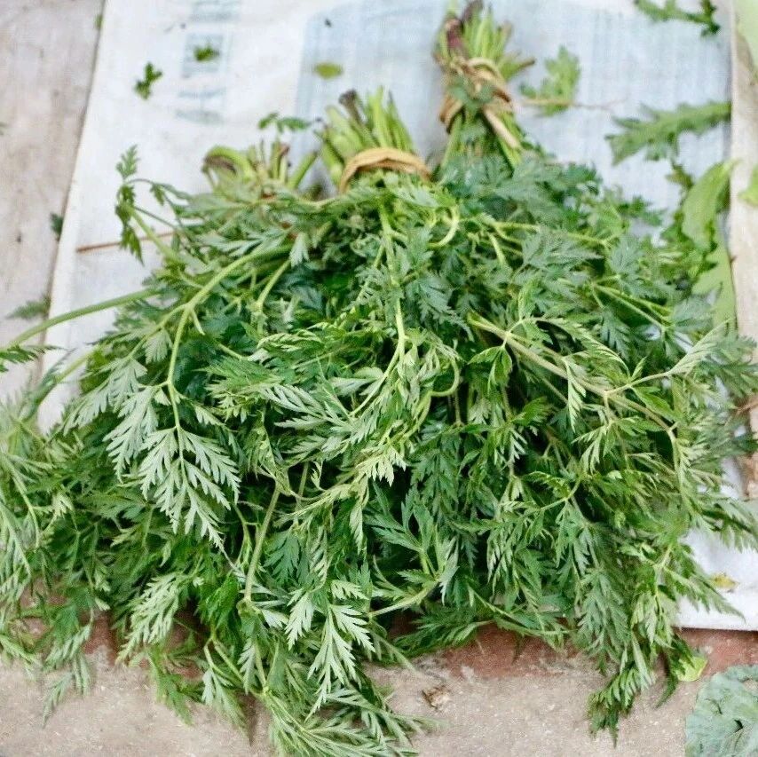 在石林,春天最“赶时间”的食材