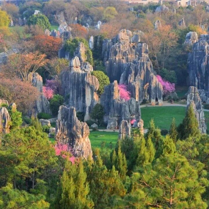 在石林,你今天Color Walk了吗?