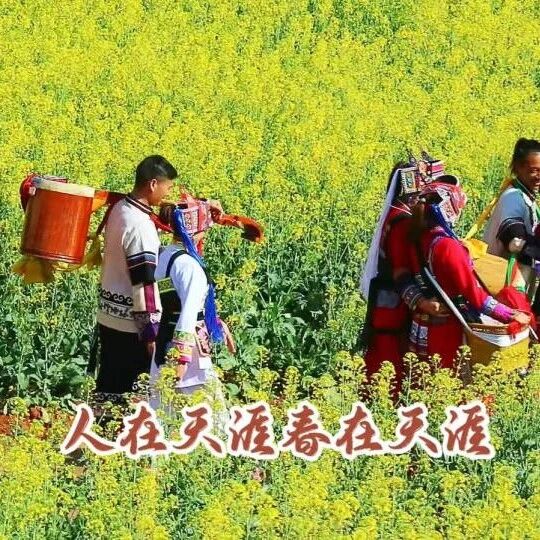 跟着撒贝宁,用诗词解锁石林的春天