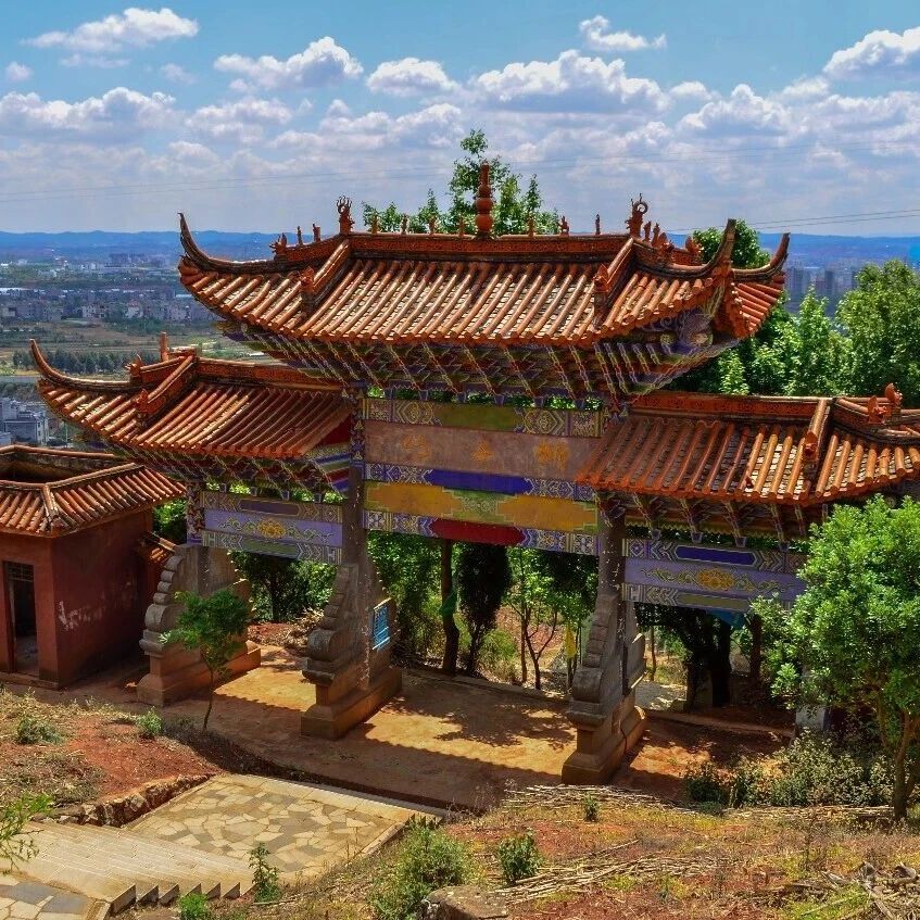 登高狮子山|晴日寻绿,登高揽胜,不负一城春光