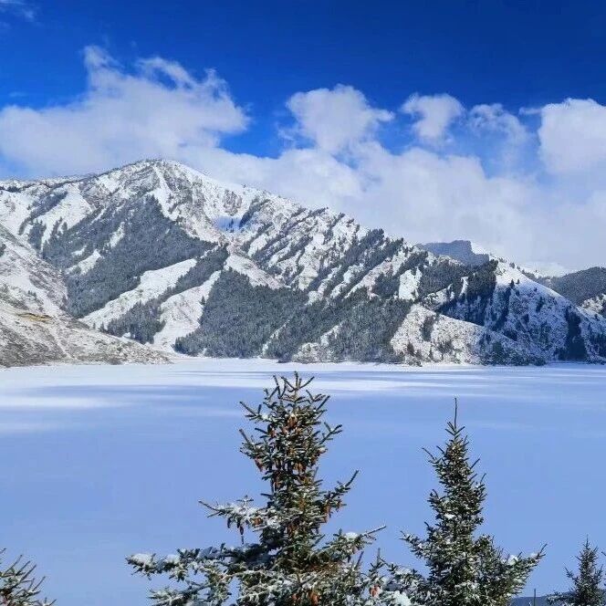 天山天池景区2026年门票优惠政策