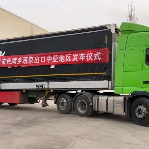 一季度出口200吨!喀什市色满乡优质蔬菜外贸产销稳步向好