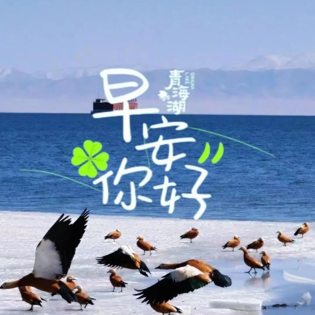 你好·青海湖 每日湖小札