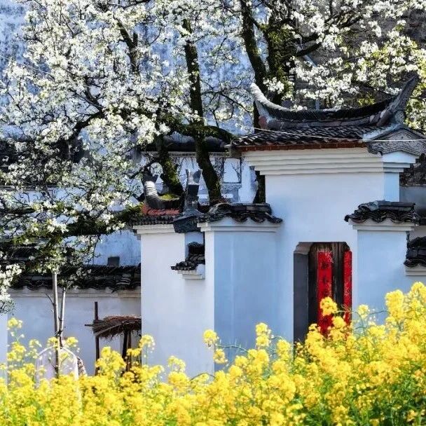 原来一直追寻的“桃花源”,尽在婺源的春天里