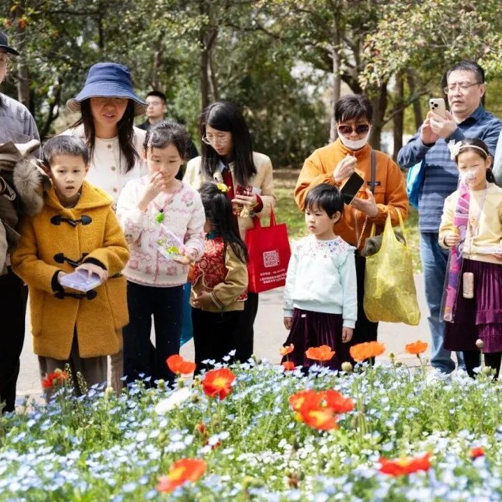 活动招募丨生命港湾系列:彩虹色的花