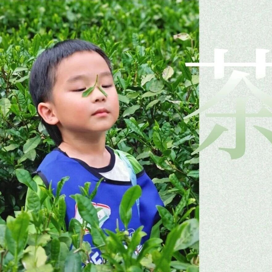 梅坞寻茶·知春记|跟着【东坡学士】上茶山,趣采茶、制作美味龙井奶茶!春日限定,名额有限!