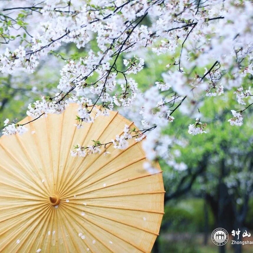 花落处,正是江南好风景!
