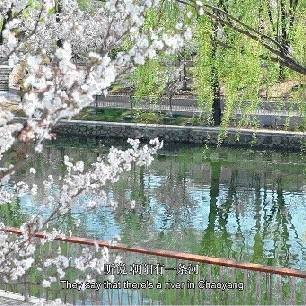 限时上线!北小河樱花水岸藏着超多惊喜——