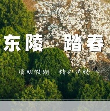 清明假期|东陵玉兰醉游人,邀您共赴这份春日美好