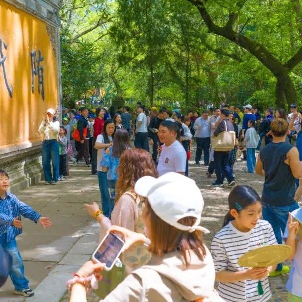 堪比春运!清明踏青天台山被挤上热搜!