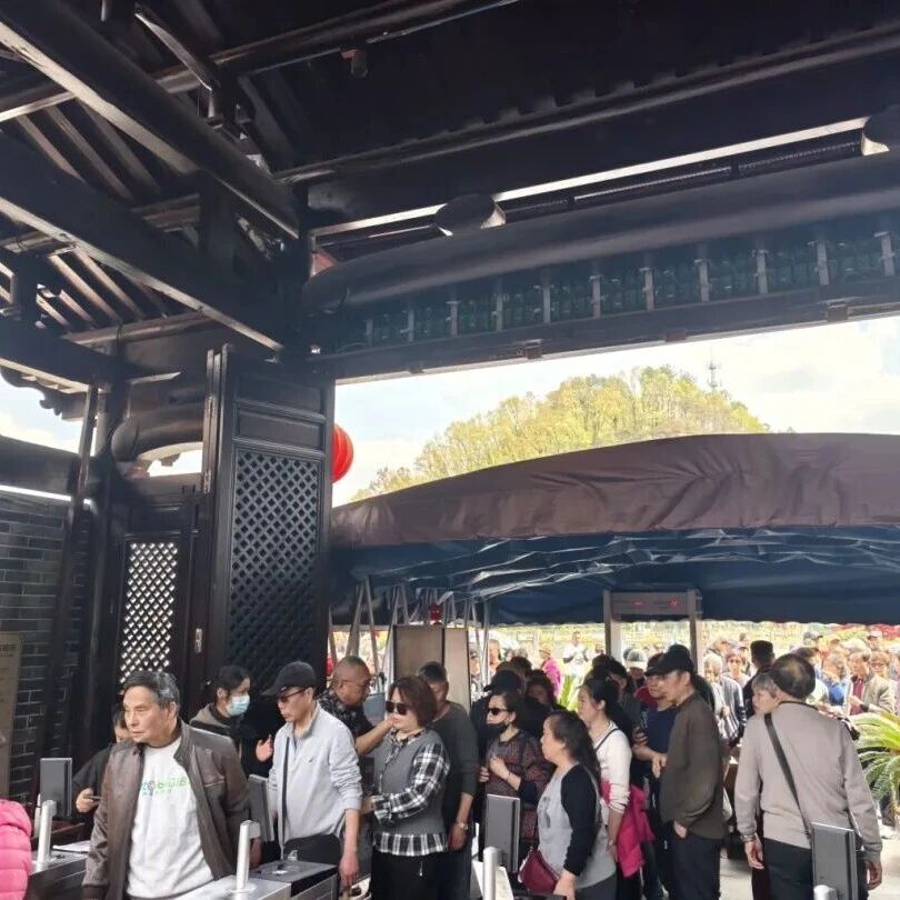 春风十里不如你:根宫景区绘就春日“活力画卷”,人气与美景共融
