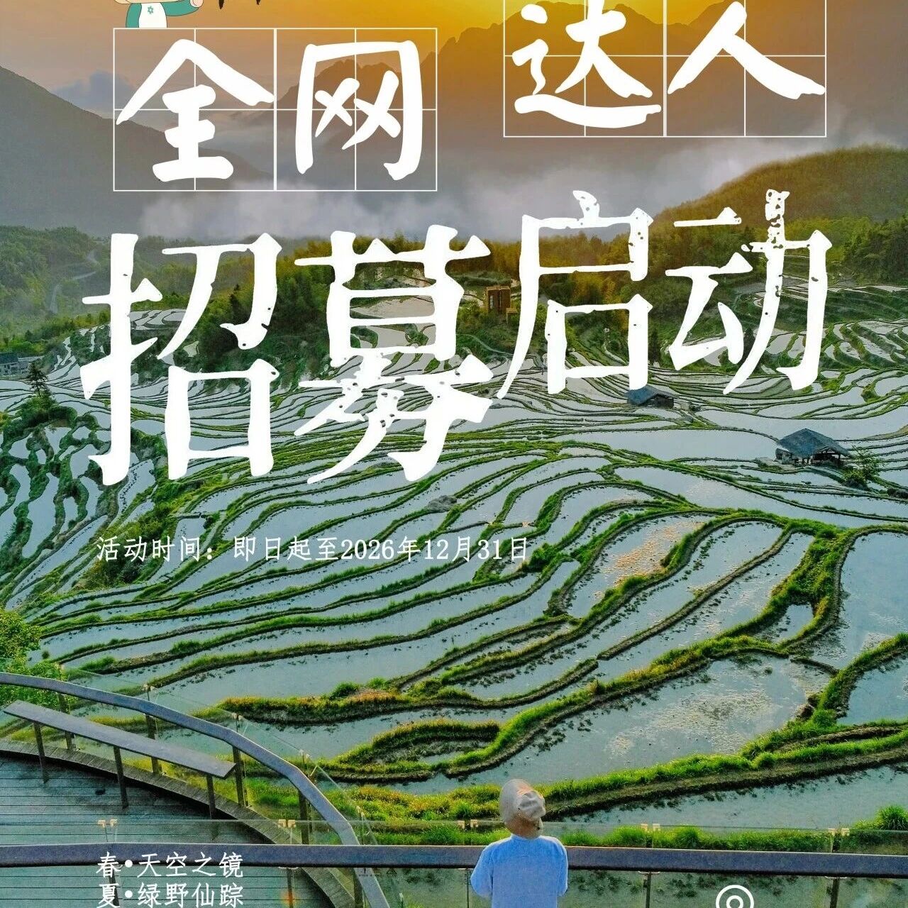 【春日达人招募令】云和梯田免费入园、住宿,邀你共赴“天空之镜”~