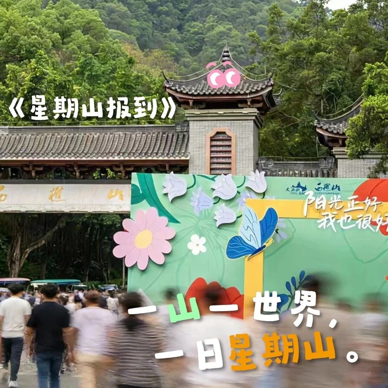 星期山|甩掉KPI,走进治愈系山林