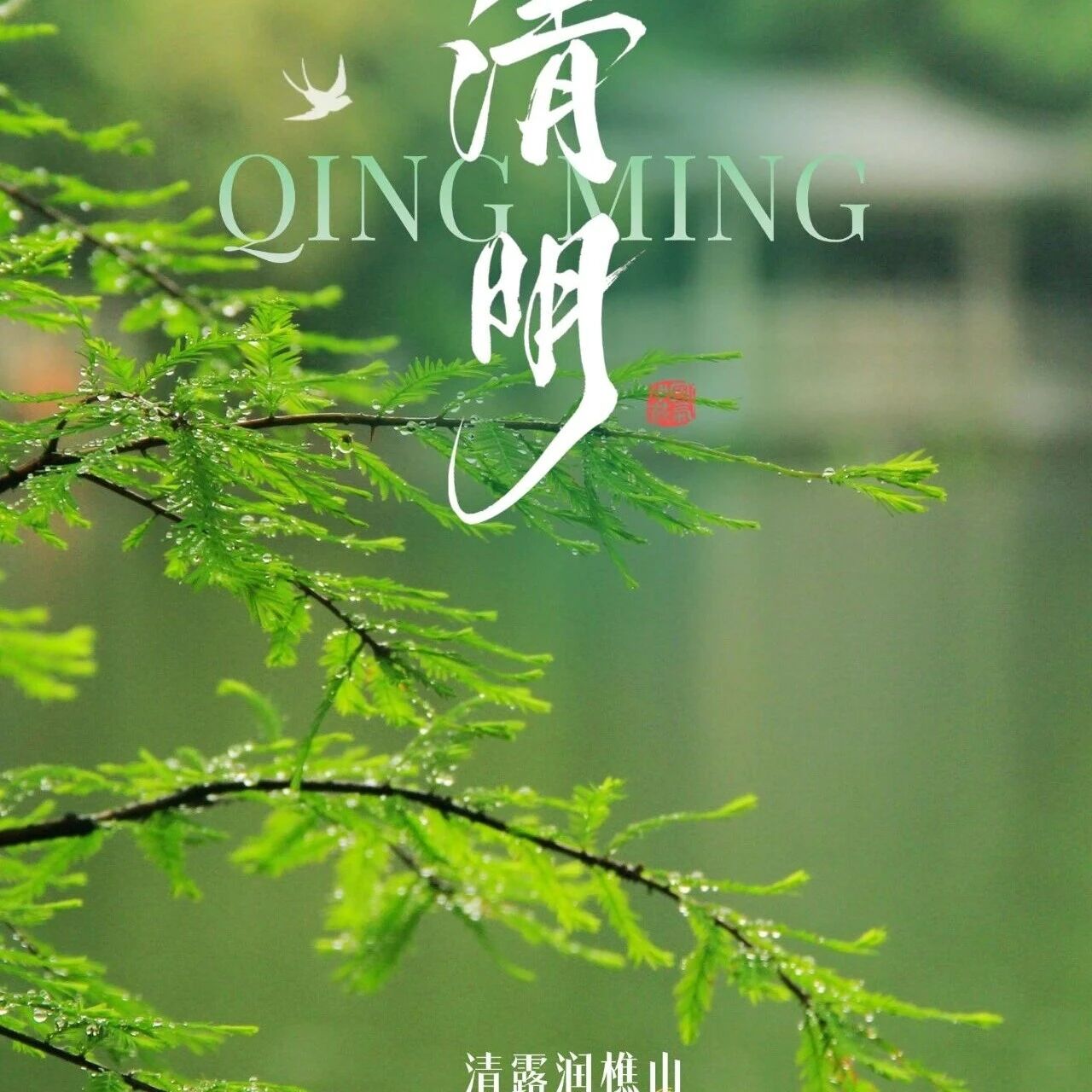 清明 | 风揽清欢,山藏温柔
