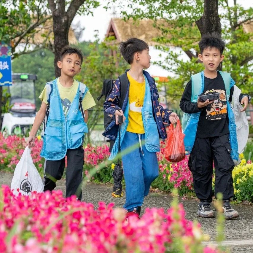 踏春寻趣,研有所获| 西樵山研学撒欢记→