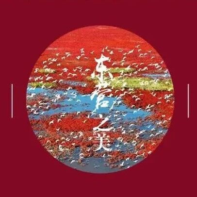 方寸影像间,遇见大美东营