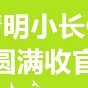 虎滩春趣,海豚哺乳温情出圈!清明小长假圆满收官,福利继续~