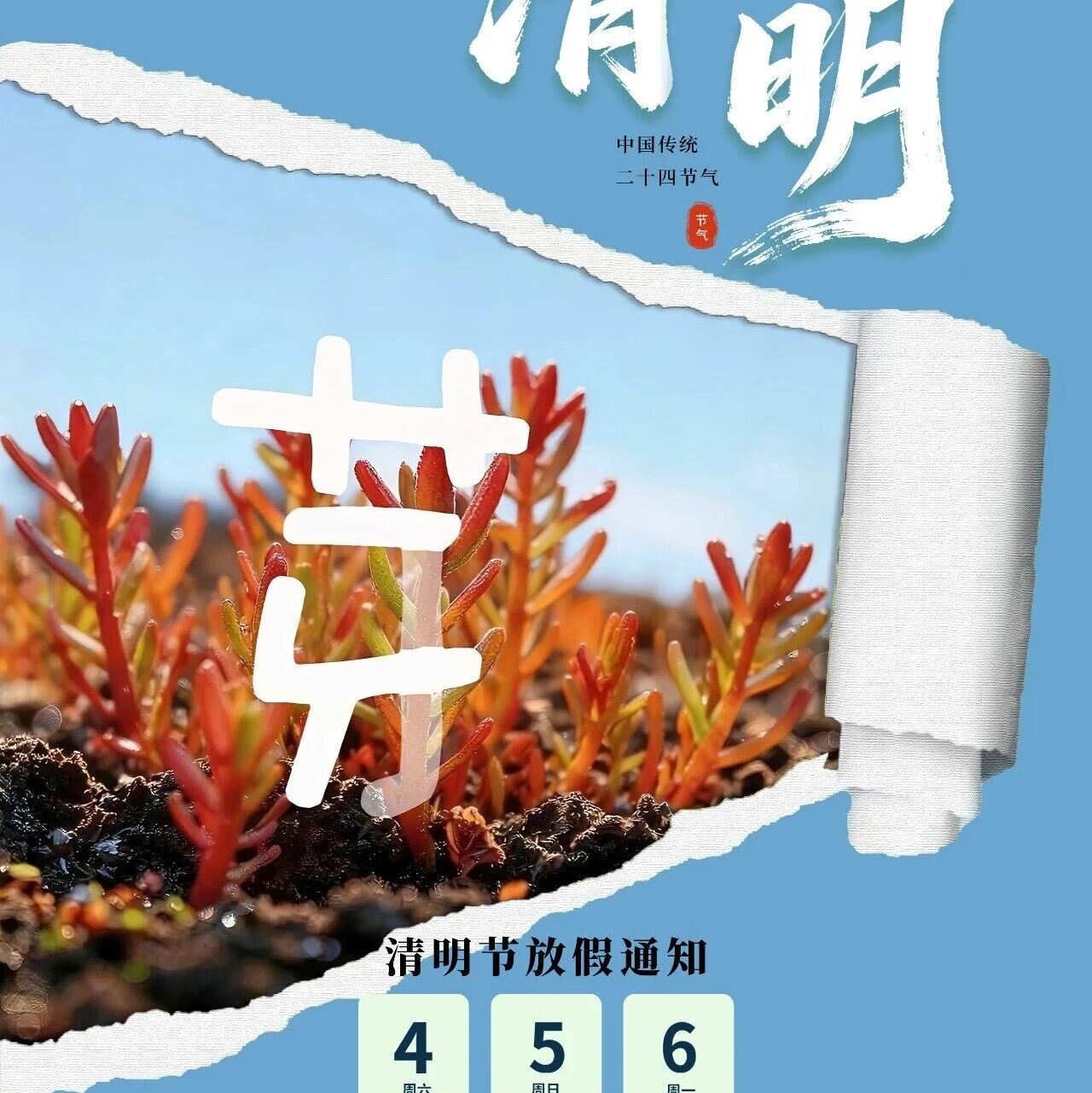 清明 | 风清景明 满目新生
