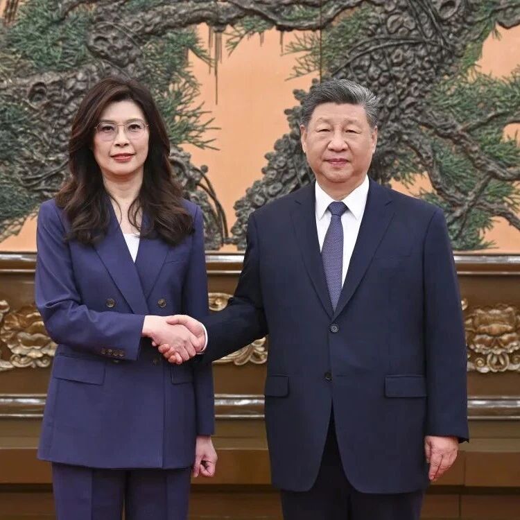 习近平总书记会见中国国民党主席郑丽文