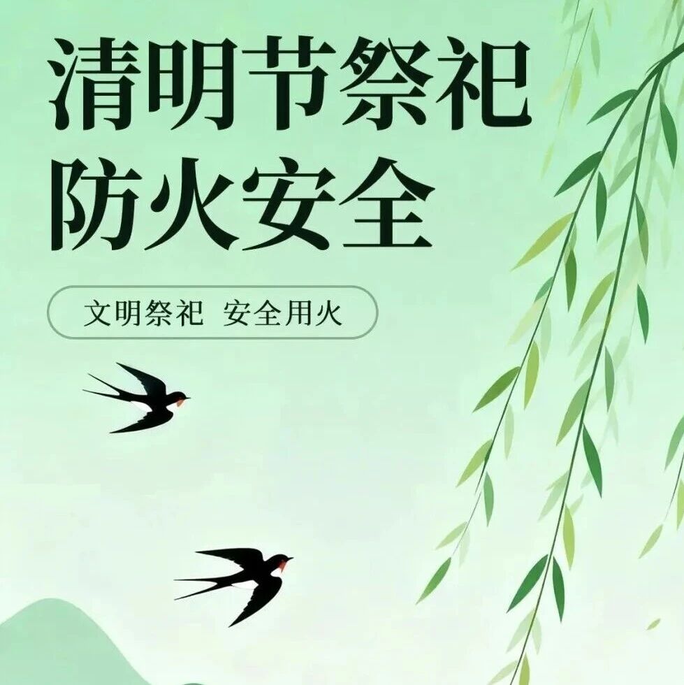 泉州市发布2026年文明祭扫倡议