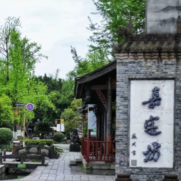 春日限定!乐山这片绿,治愈了我所有的emo