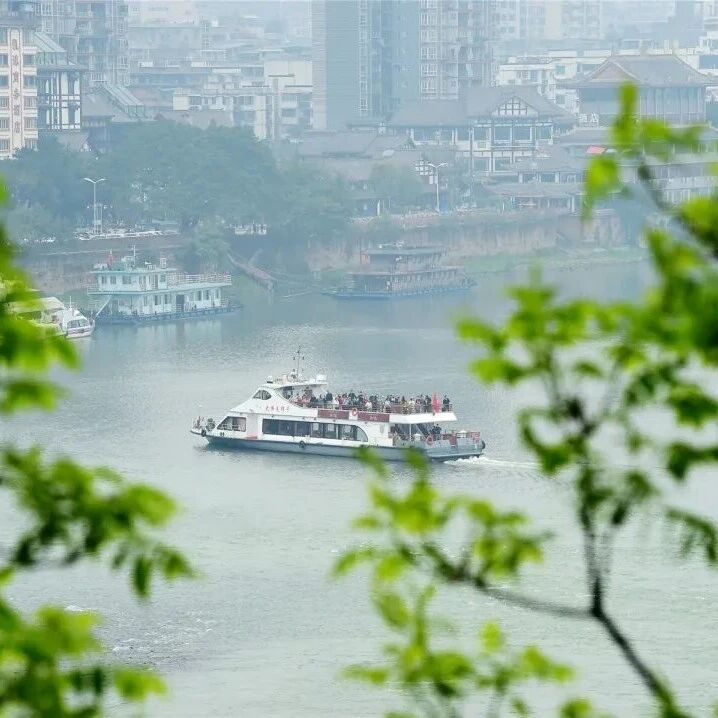 寻芳览翠,春意盈盈入画来