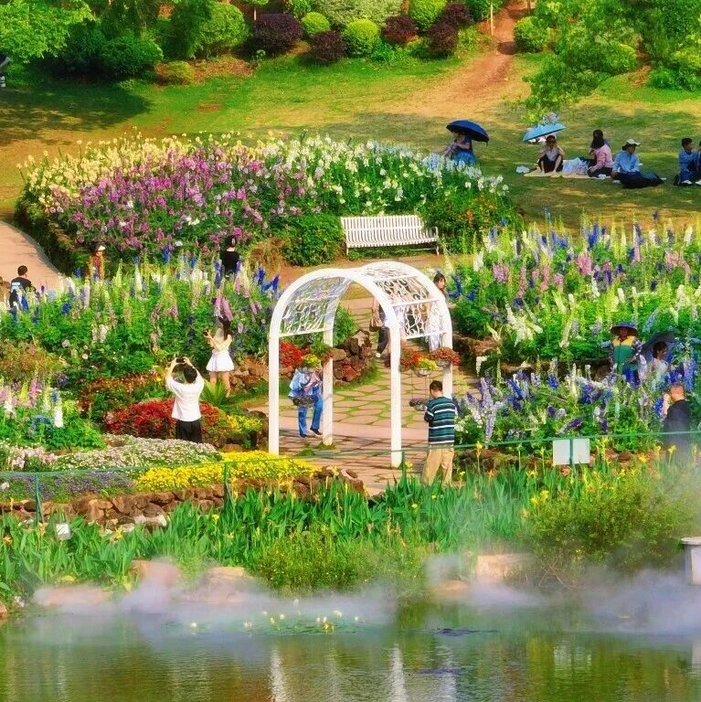 最美人间四月天!踏青出游,赏青秀山春日花景