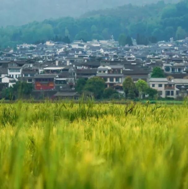 四月和顺,一镇春色醉人心